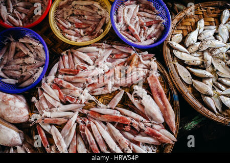 raw squids fresh assorted at asian street market in Vietnam top view Stock Photo