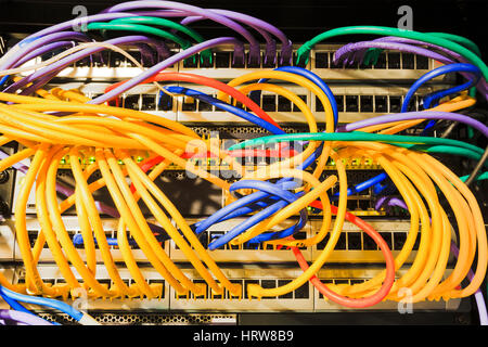 Patch panels, sockets, patch cables connected to the network equipment inside the rack of Data Centre. Stock Photo