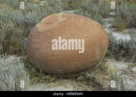 Cannon Ball Concretions, Theodore Roosevelt National Park, ND, USA Stock Photo