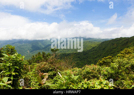 Rainforest landscape view in Monteverde Costa Rica Stock Photo