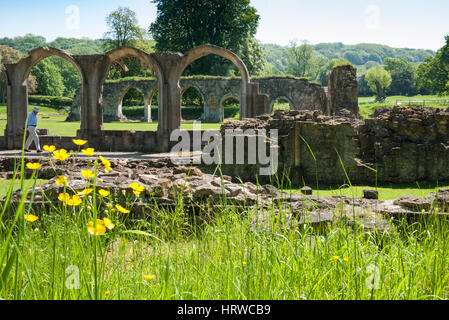 The ruins of Hailes Abbey near Winchcombe, Gloucestershire, England. UK. Stock Photo