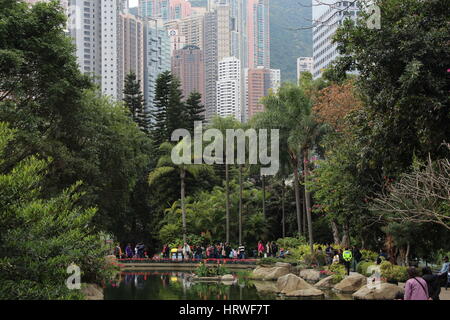Hong Kong Park in Admiralty, Hong Kong Island - intense population density! Stock Photo
