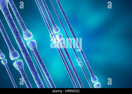 Synaptic transmission, human nervous system, 3d rendering Stock Photo