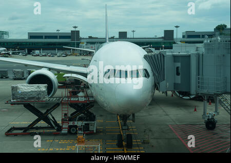 25.01.2017, Singapore, Republic of Singapore, Asia - A Thai Airways passenger plane is parked at a gate of Terminal 1 at Singapore's Changi Airport. Stock Photo