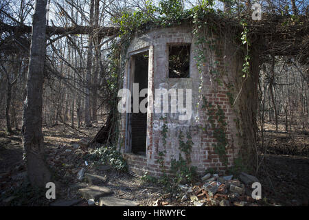 March 4, 2017 - Summerville, GA - Crumbled remains of 'Corpsewood Stock