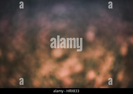 Abstract blurred bokeh Stock Photo