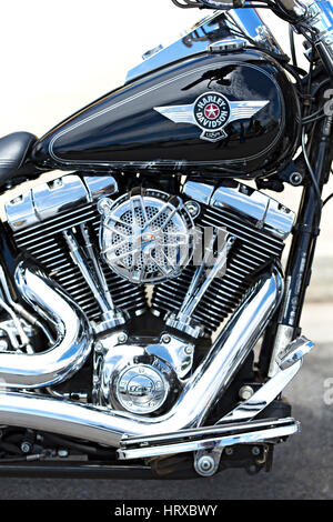 A Sreamin Eagle model Harley Davidson motorcycle. Stock Photo