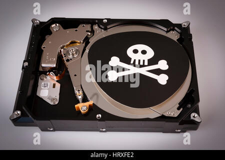 skull with bones and hard drive from computer, cyber security concept, virus, malware, ransomware, Stock Photo