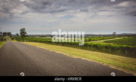 Road through the Hunter Valley Vineyards Stock Photo