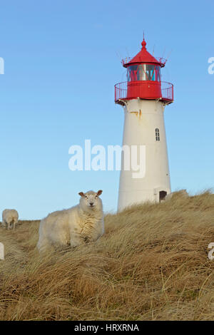 Lighthouse List West, Elbow, Sylt, North Frisia, Germany, Europe Stock Photo