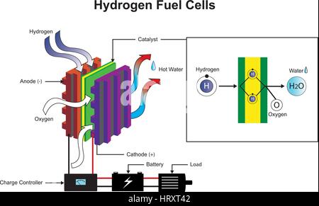 Hydrogen is a chemical element with chemical symbol H and atomic number 1. With an atomic weight of 1.00794 u, hydrogen is the lightest element on the Stock Vector