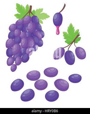 Vector grape illustration Bunch of wine grapes with leaf flat color icon for food apps and websites. Stock Vector