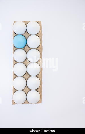 One Easter egg dyed robin's egg blue and eleven white hard boiled hen's eggs in a tan cardboard carton from above on white background with copy space. Stock Photo