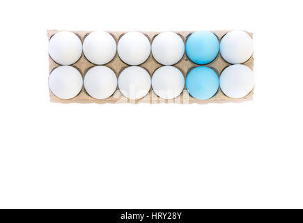 Two Easter eggs dyed robin's egg blue and ten white hen's eggs in cardboard carton from above against a white background with copy space. Stock Photo
