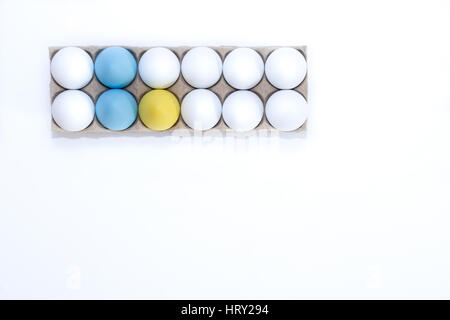 One Easter egg dyed yellow, two dyed blue and ten white hen's egg in a cardboard carton from above with white background and copy space. Stock Photo