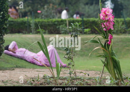 Srinagar, Jammu and Kashmir, India. Lady relaxing among the flowers at Nishat Bagh. Stock Photo