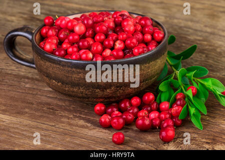 Ripe lingonberries cranberries cup close-up Stock Photo