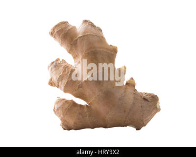 Close up photo of zingiber officinale or ginger, isolated in front of a white background Stock Photo