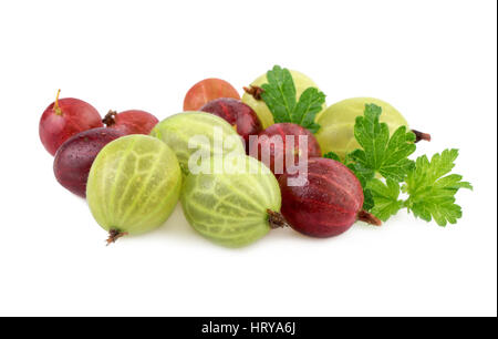 Isolated gooseberry. Green and red gooseberries isolated on white Stock Photo