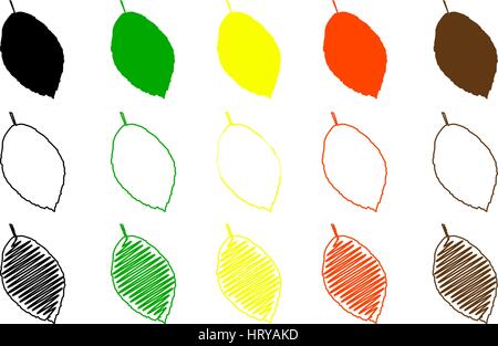 Beech leaves color set, Beech leaf , Stock Vector