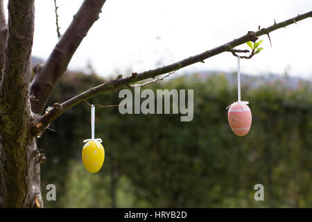 Easter eggs Stock Photo