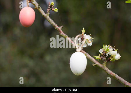 Easter eggs Stock Photo