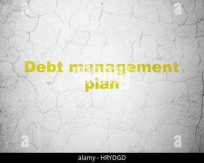 Finance concept: Debt Management Plan on wall background Stock Photo