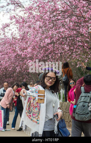 Kunming, China's Yunnan Province. 6th Mar, 2017. A girl takes selfies with the cherry blossoms in Kunming, capital of southwest China's Yunnan Province, March 6, 2017. Credit: Hu Chao/Xinhua/Alamy Live News Stock Photo