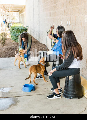 Fairfax, USA - February 18, 2017: Girls tending dogs that are up for adoption outside of Petsmart Stock Photo