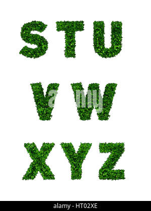 S to Z, alphabets of green leaves on white background Stock Photo