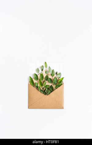 opened craft paper envelope filled with green leavess on white background. healthy lifestyle offer. Care about environment. Recycling and using trees  Stock Photo