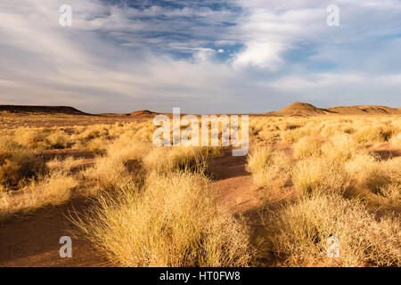 Beautiful landscape of the desert near Zagora very close to the Algerian border in Morocco. Sky is blue with some clouds and there is nice yollow gras Stock Photo