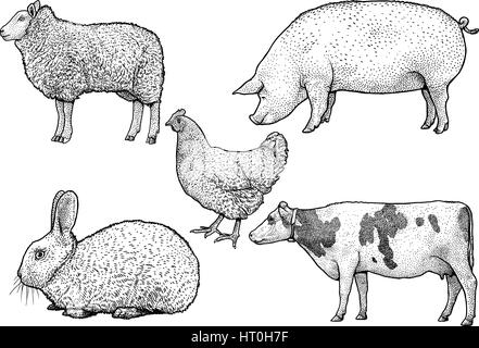 Farm animals illustration, drawing, engraving, ink, line art, vector Stock Vector