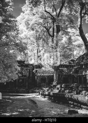 Infrared image of Khmer architechture in Angkor wat, Cambodia Stock Photo