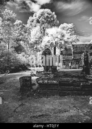 Infrared image of Khmer architechture in Angkor wat, Cambodia Stock Photo