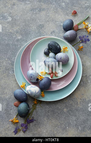 Blue eggs with petals on three plates with copy text on a concrete background Stock Photo