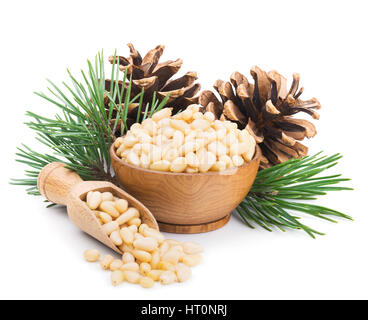 Pine nuts with branches and cones isolated on white Stock Photo
