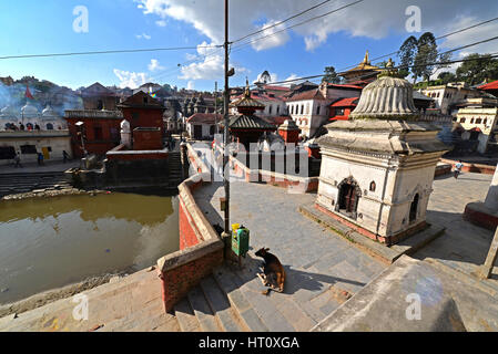 PASHUPATINATH - OCTOBER : Cremation ghats and ceremony along the holy Bagmati River. Hundreds of earthquake victims were cremated here after the catas Stock Photo