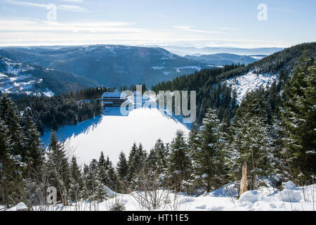 Mummelsee (Black Forest) in winter Stock Photo