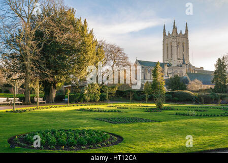 A view of the Abbey Gardens in Bury St Edmunds, Suffolk, on a spring afternoon with St Edmundsbury Cathedral in the background, UK. Stock Photo