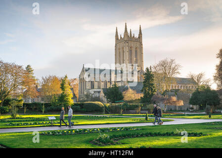 Bury St Edmunds Abbey Gardens, view of people walking in the Abbey Gardens in Bury St Edmunds against backdrop of St Edmundsbury Cathedral ,Suffolk UK Stock Photo