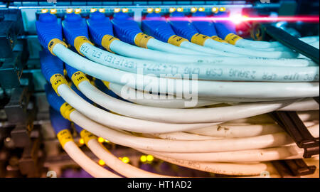 Lan cable connect to ethernet switch mount on rack. Stock Photo