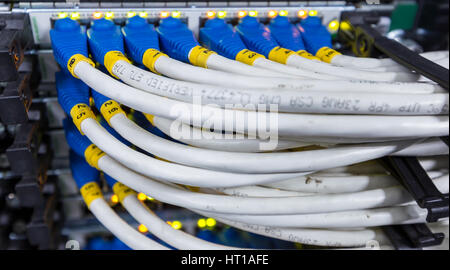 Lan cable plug in network switch in data center Stock Photo