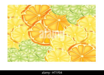 Slices of oranges, lemons, and limes Stock Vector