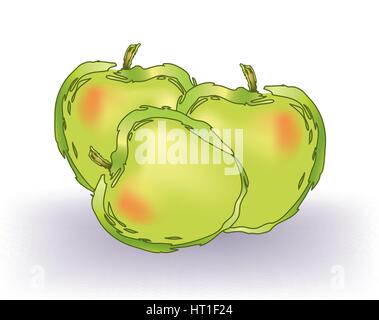 Delicious apples Stock Vector