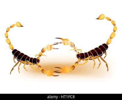 Abstract scorpions fighting on a white background Stock Vector