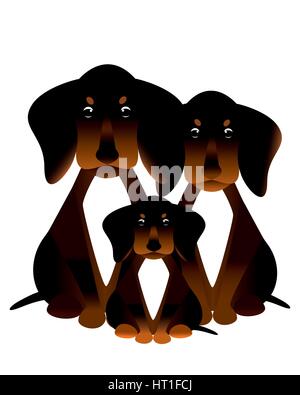 Dachshund puppy Stock Vector