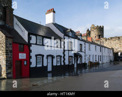 Row of quayside properties including smallest house in UK in shadow of medieval Conwy Town Walls North Wales UK Stock Photo