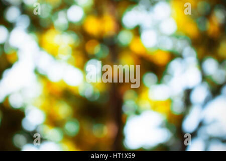 Bokeh pictures from the daylight with beautiful colors. Stock Photo