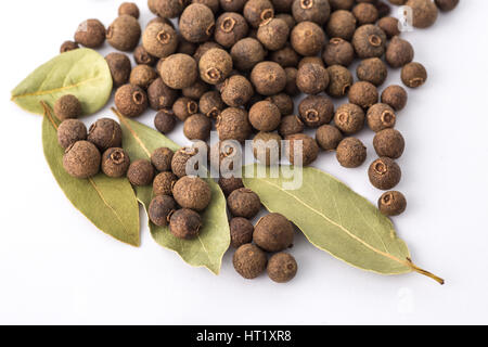 Allspice and bay laurel on a white background. Stock Photo